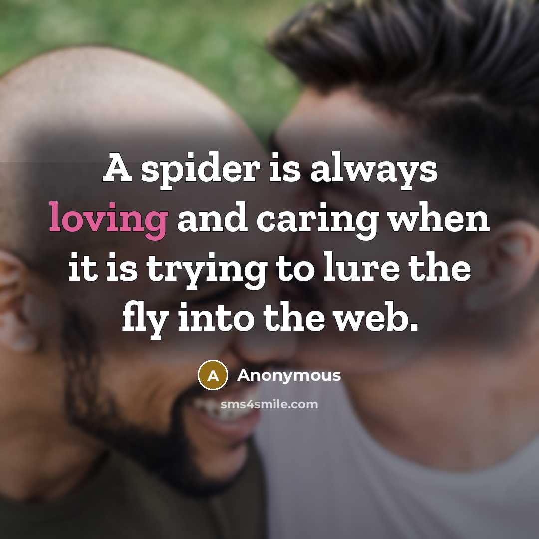“A spider is always loving and caring when it is trying to lure the fly into the web.” quote by Anonymous