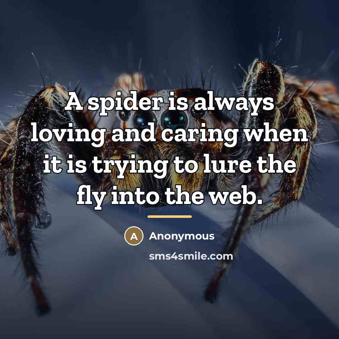 “A spider is always loving and caring when it is…” quote by Anonymous