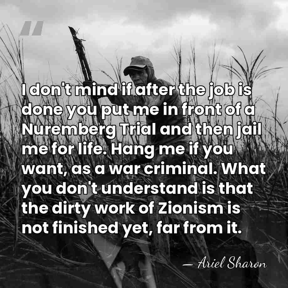 I don't mind if after the job is done you put me&hellip; - Ariel Sharon