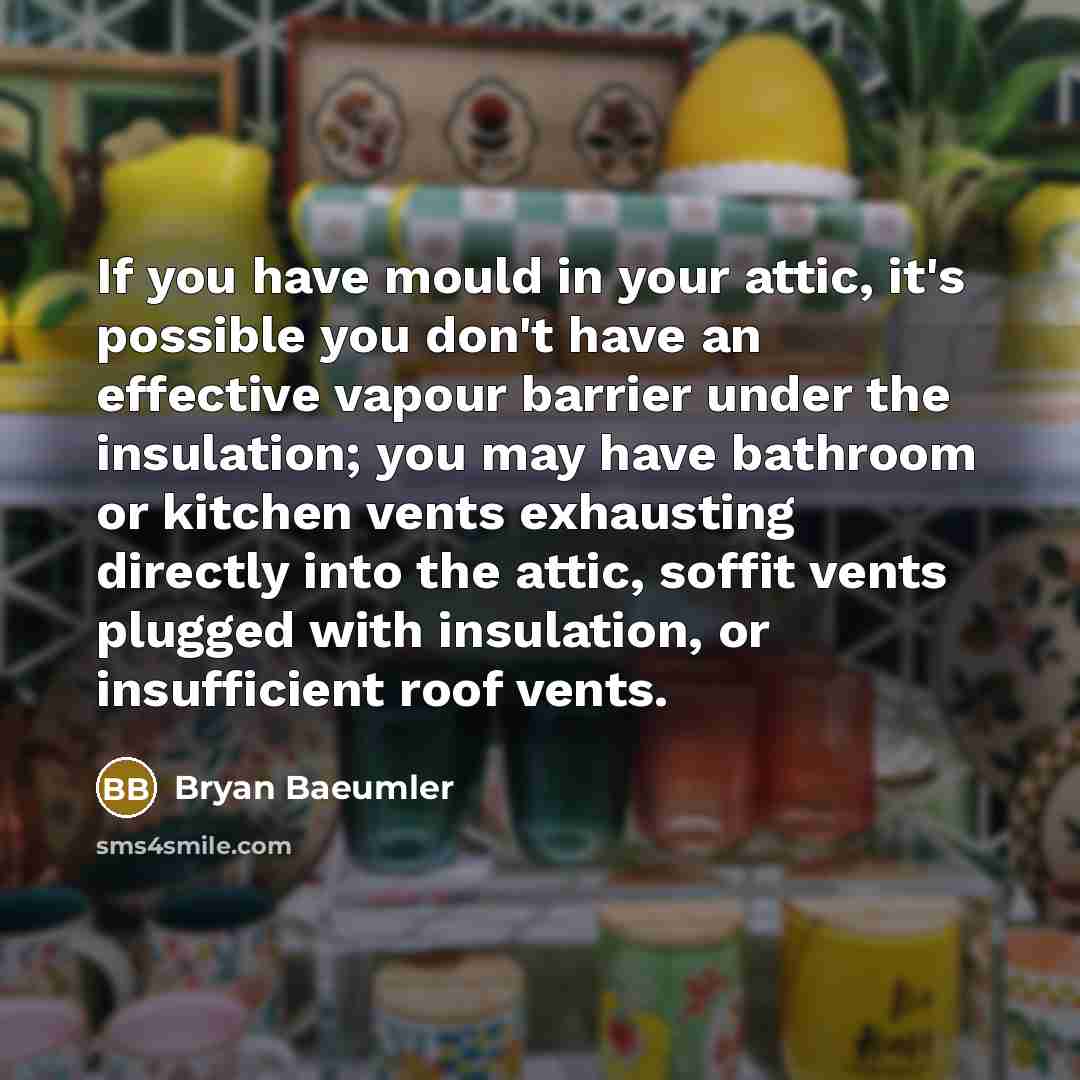 “If you have mould in your attic, it's possible you…” quote by Bryan Baeumler