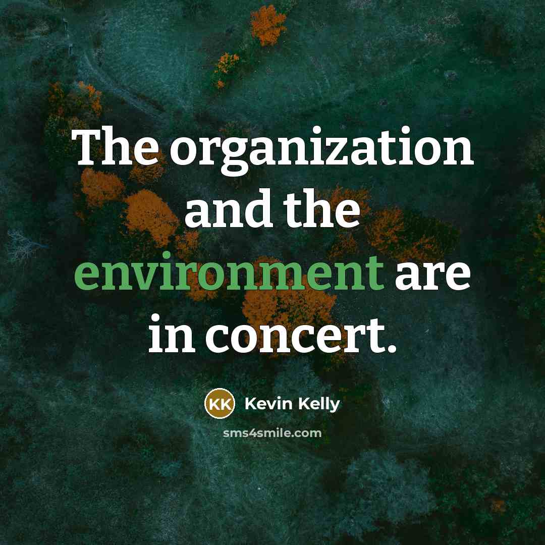 “The organization and the environment are in concert.…” quote by Kevin Kelly