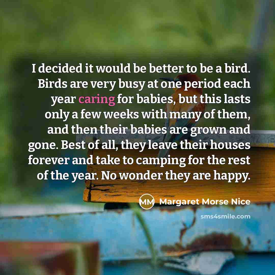“I decided it would be better to be a bird.…” quote by Margaret Morse Nice