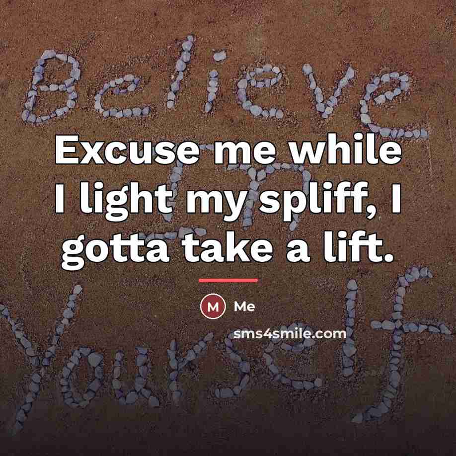 “Excuse me while I light my spliff, I gotta take…” quote by Me