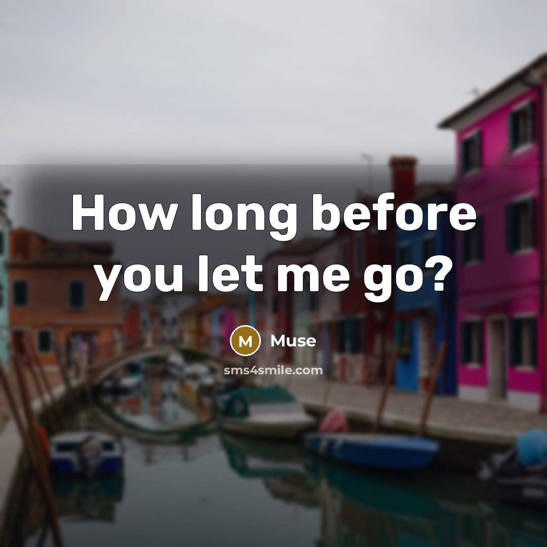 “How long before you let me go?” quote by Muse