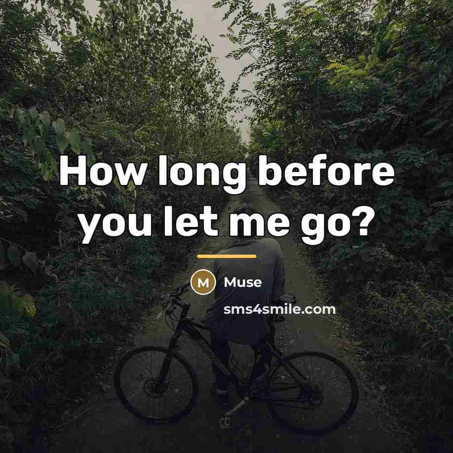 “How long before you let me go?…” quote by Muse