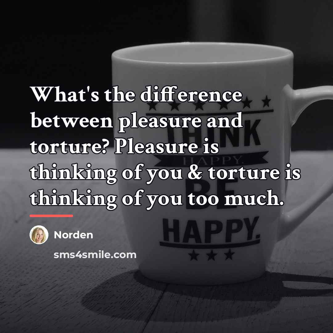 “What's the difference between pleasure and torture? Pleasure is thinking…” quote by Norden