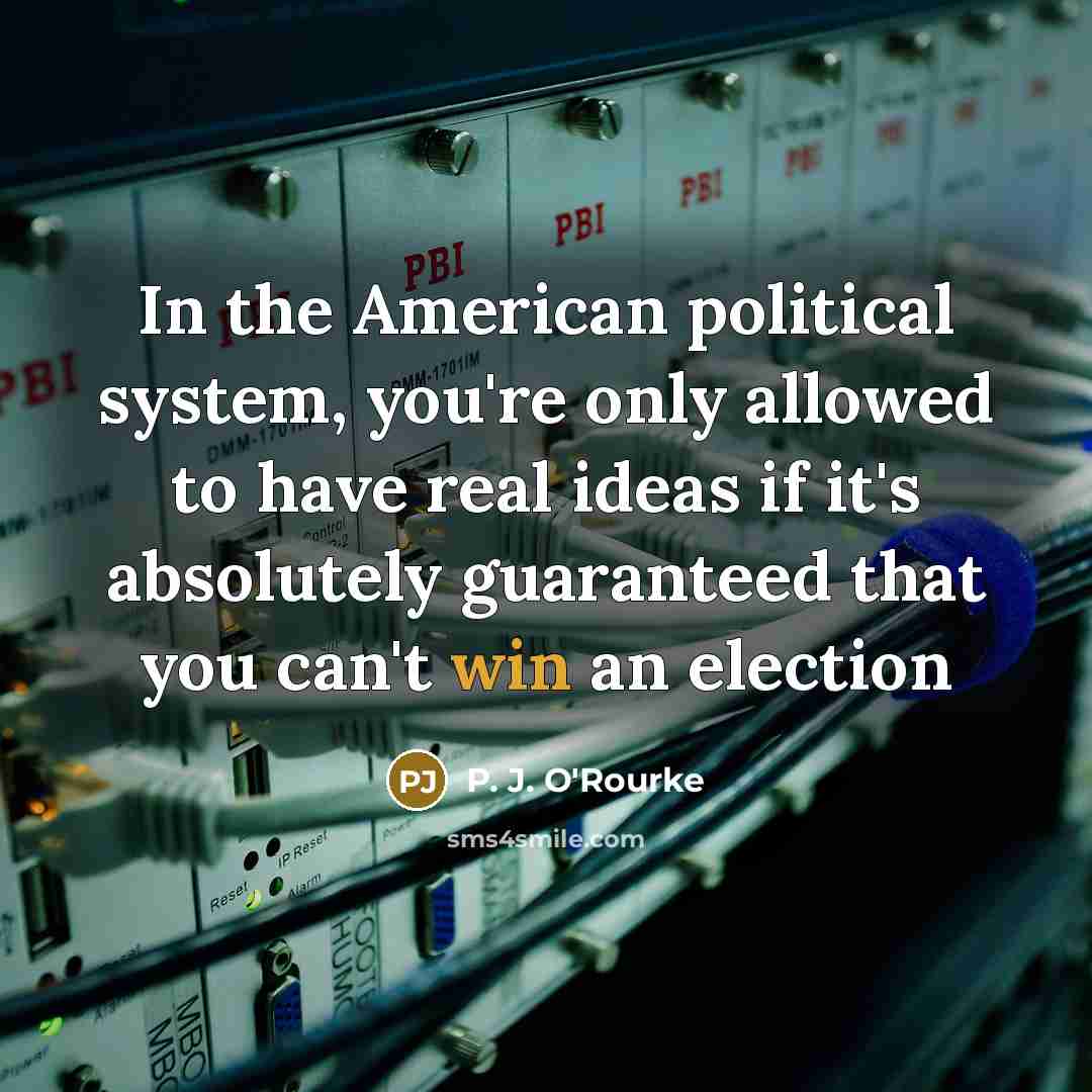 “In the American political system, you're only allowed to have…” quote by P. J. O'Rourke
