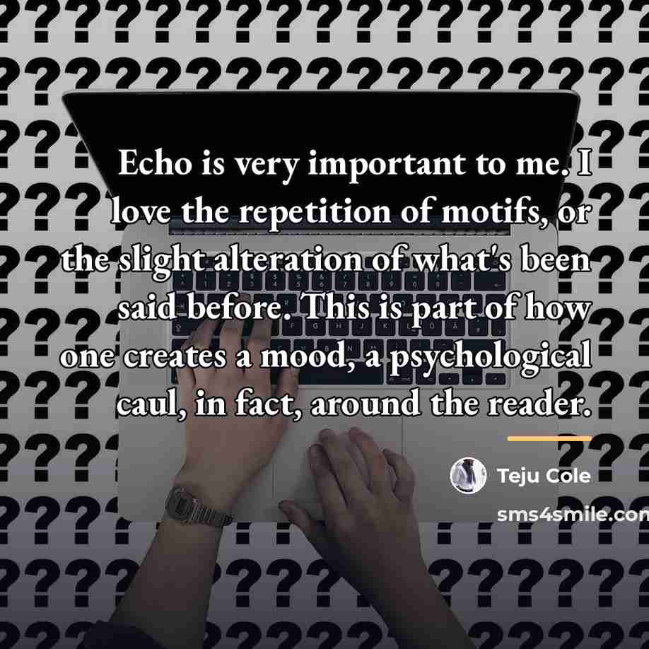 “Echo is very important to me. I love the repetition…” quote by Teju Cole