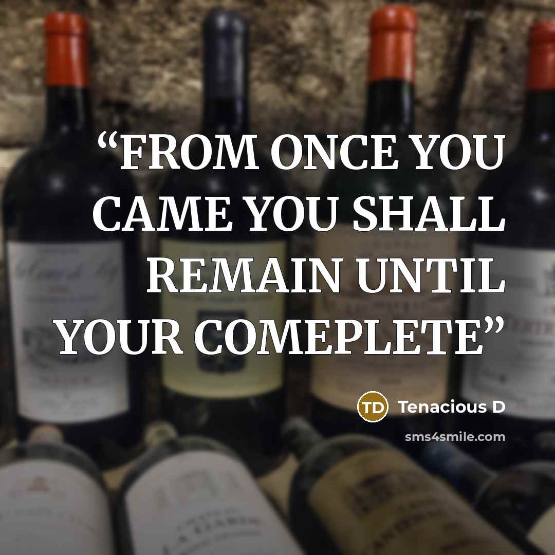 “FROM ONCE YOU CAME YOU SHALL REMAIN UNTIL YOUR COMEPLETE” quote by Tenacious D