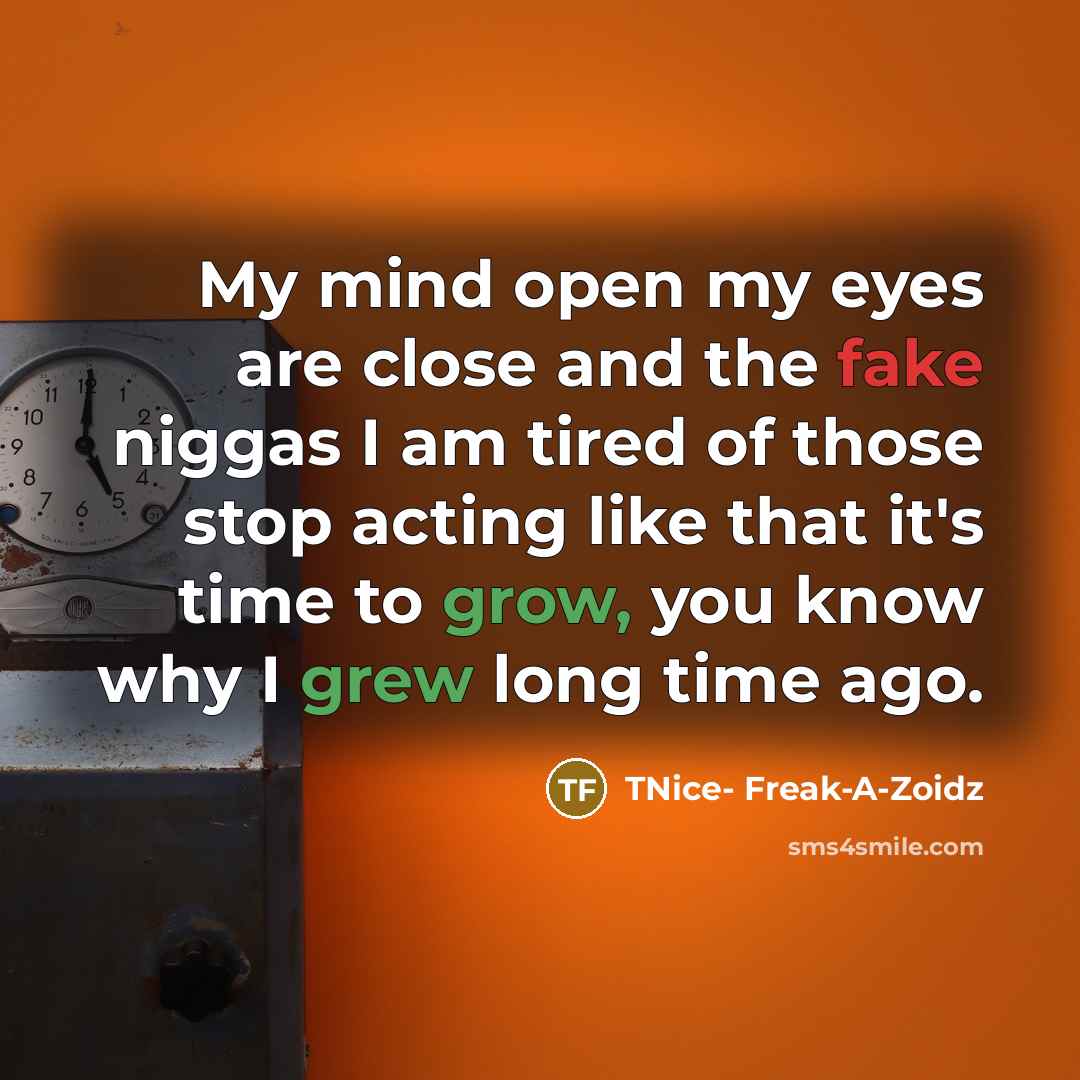“My mind open my eyes are close and the fake niggas I am tired of those stop acting like that it's time to grow, you know why I grew long time ago.” quote by TNice- Freak-A-Zoidz