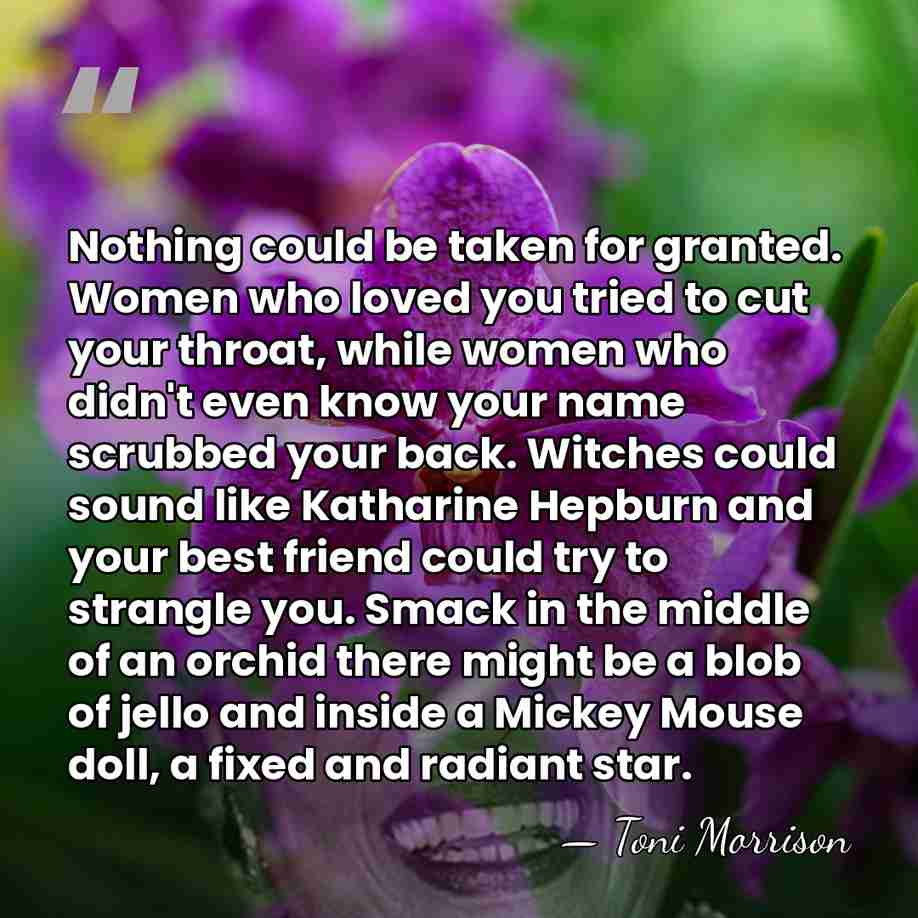 Nothing could be taken for granted. Women who loved you tried to&hellip; - Toni Morrison