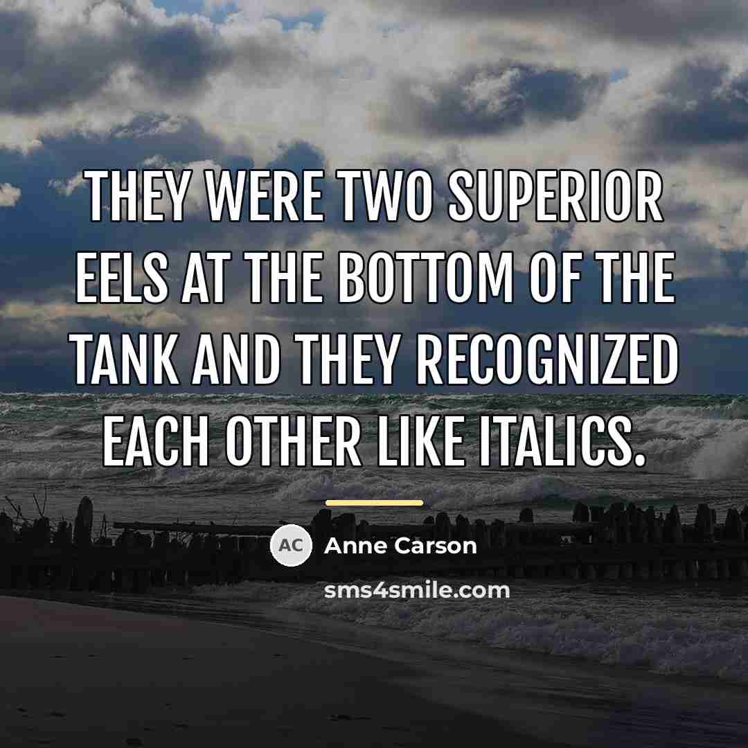 “They were two superior eels at the bottom of the…” quote by Anne Carson