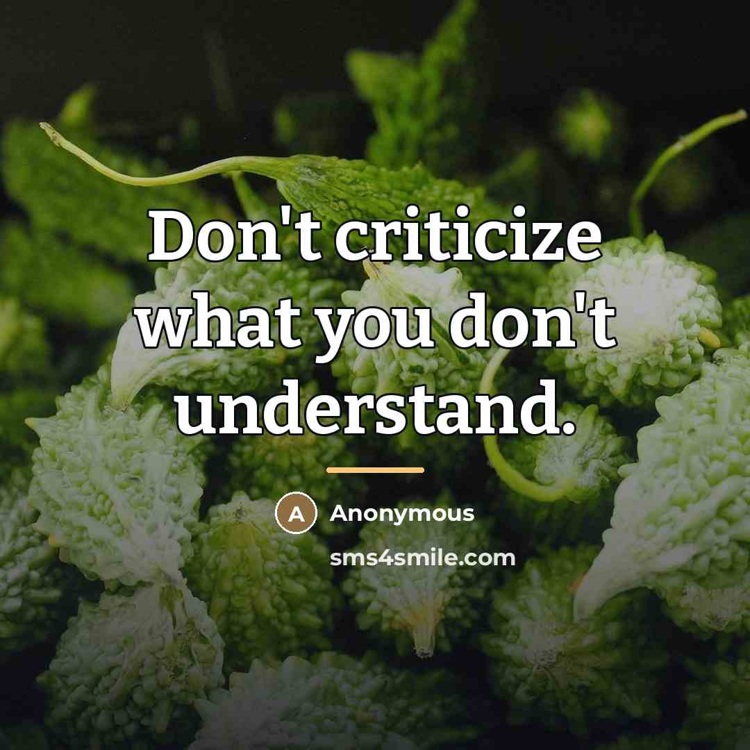“Don't criticize what you don't understand.…” quote by Anonymous