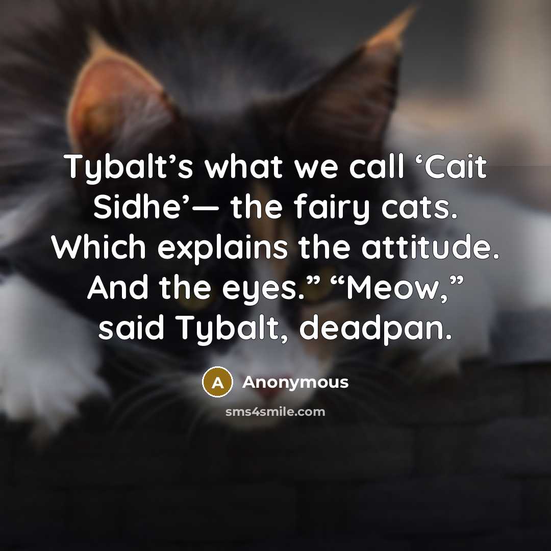 “Tybalt’s what we call ‘Cait Sidhe’— the fairy cats. Which…” quote by Anonymous
