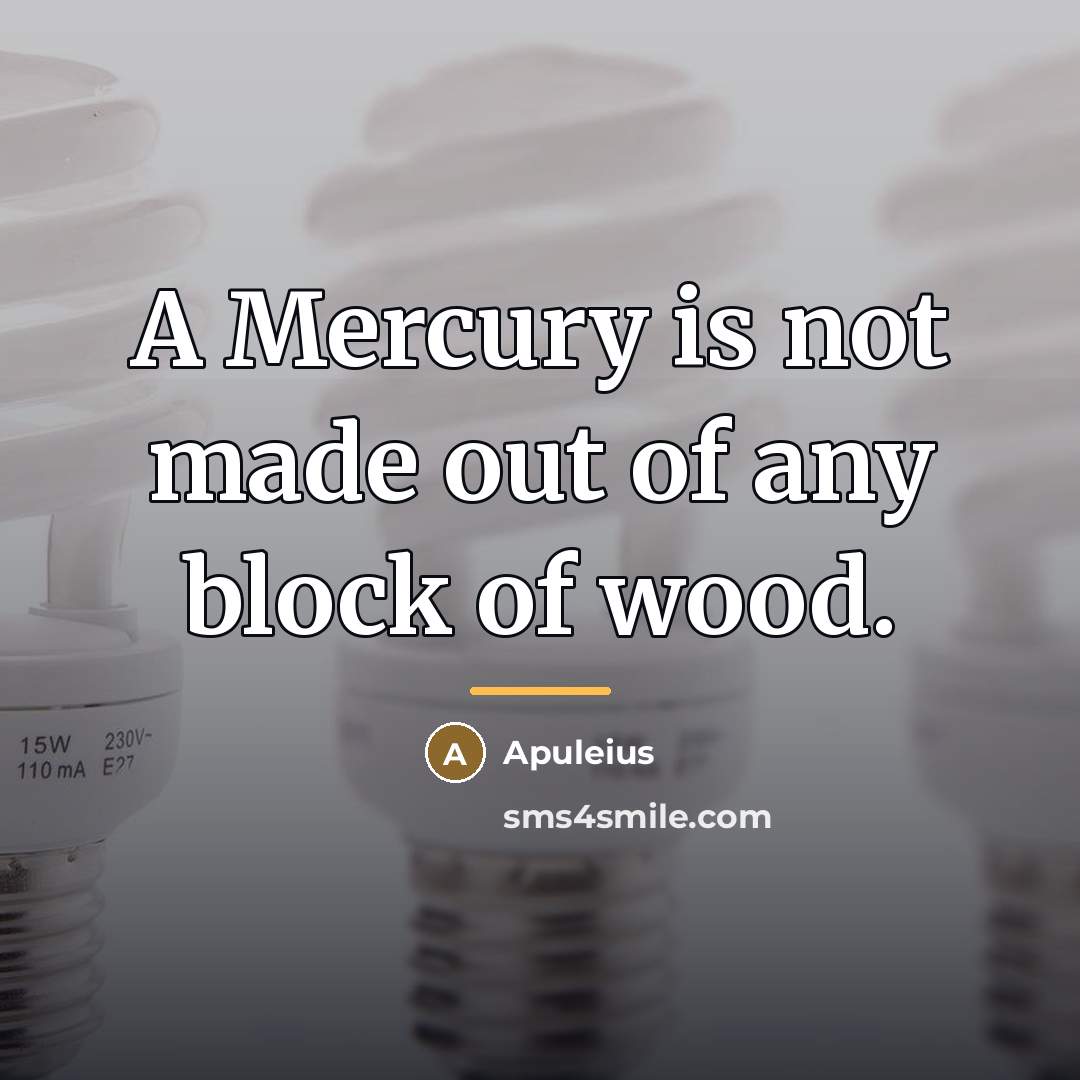 “A Mercury is not made out of any block of…” quote by Apuleius
