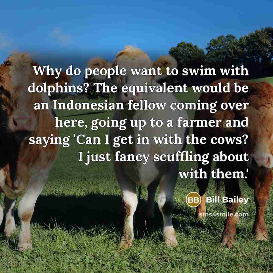 “Why do people want to swim with dolphins? The equivalent…” quote by Bill Bailey