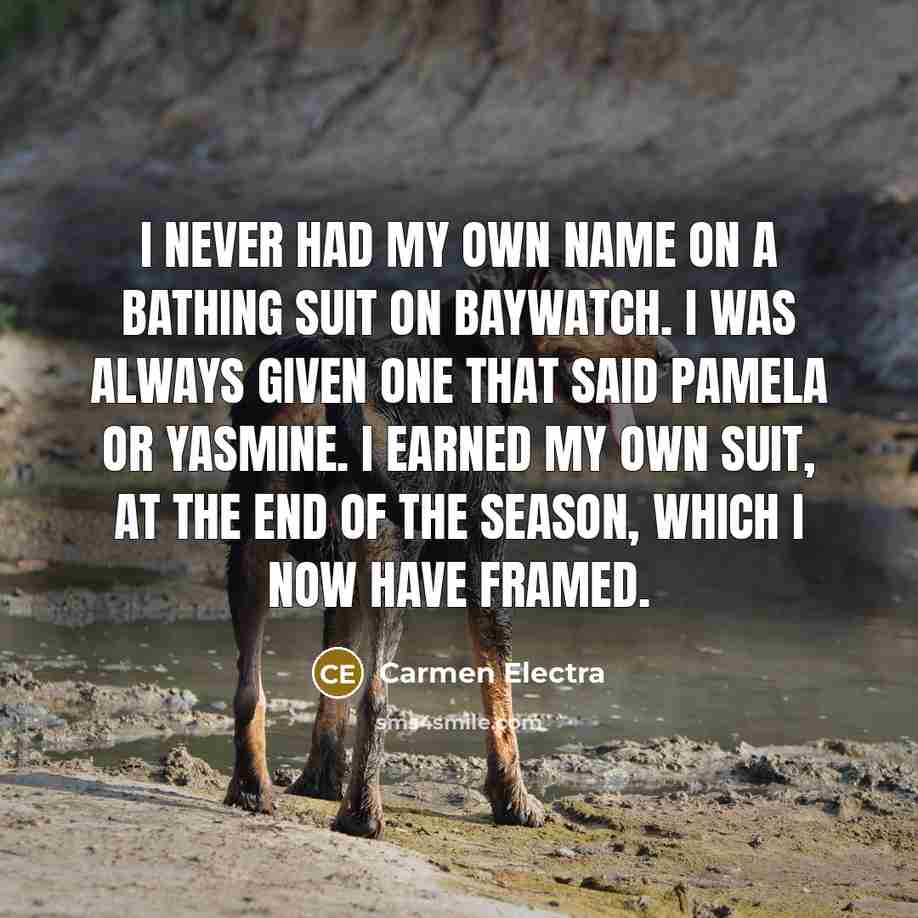 “I never had my own name on a bathing suit…” quote by Carmen Electra