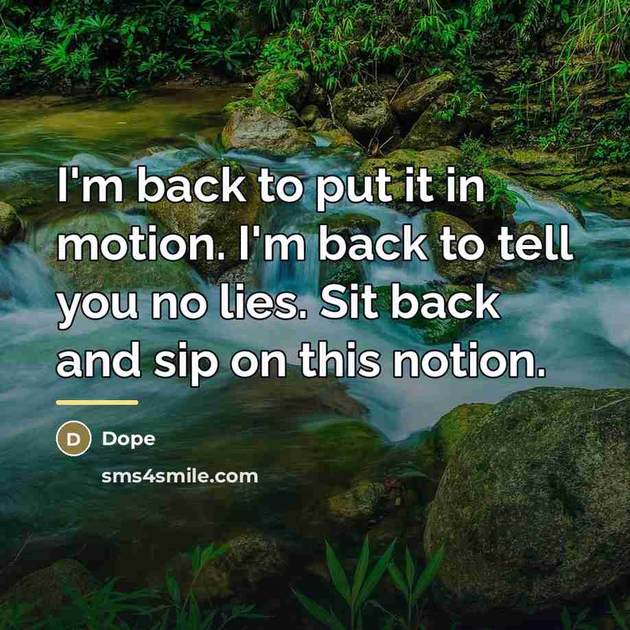 “I'm back to put it in motion. I'm back to…” quote by Dope