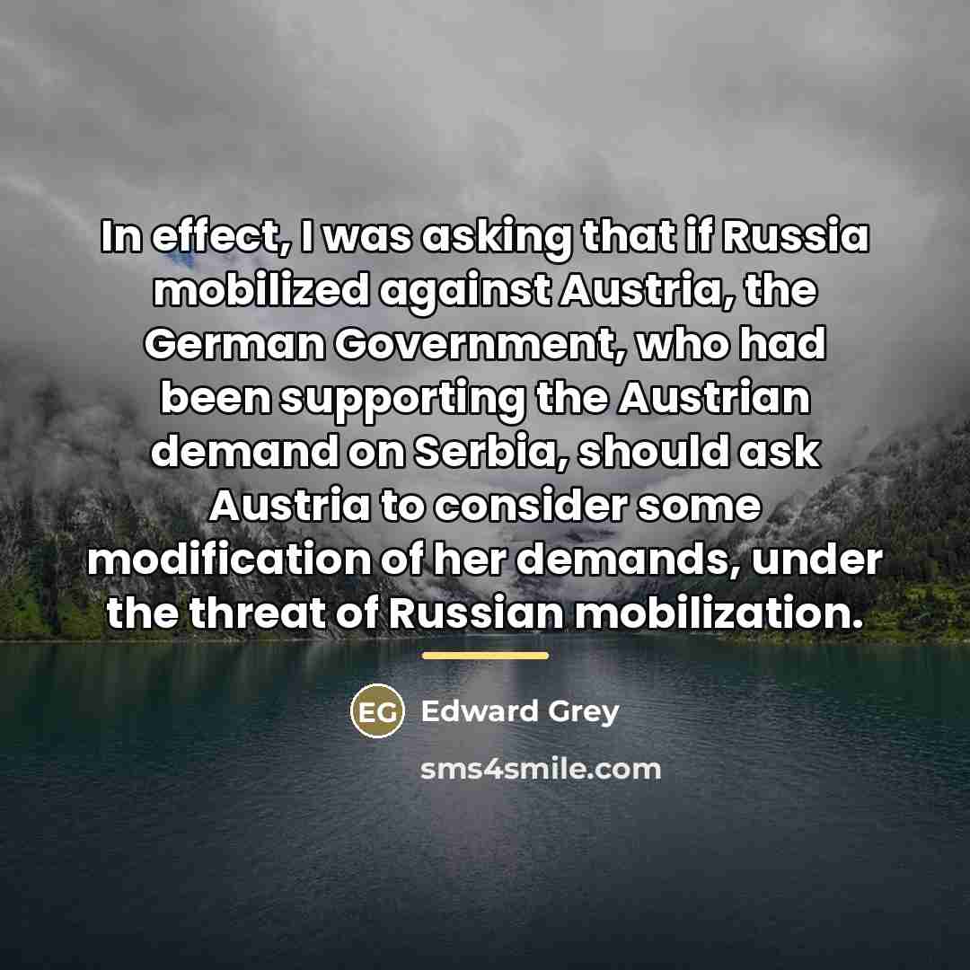 “In effect, I was asking that if Russia mobilized against…” quote by Edward Grey