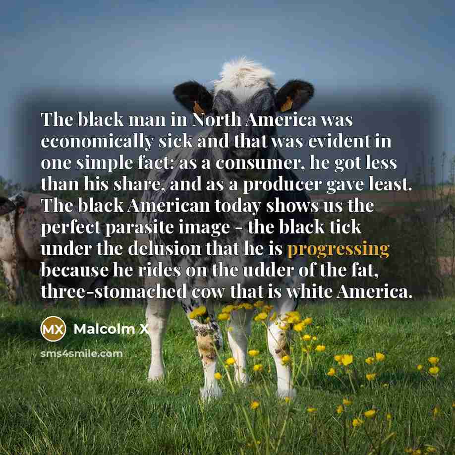 “The black man in North America was economically sick and…” quote by Malcolm X