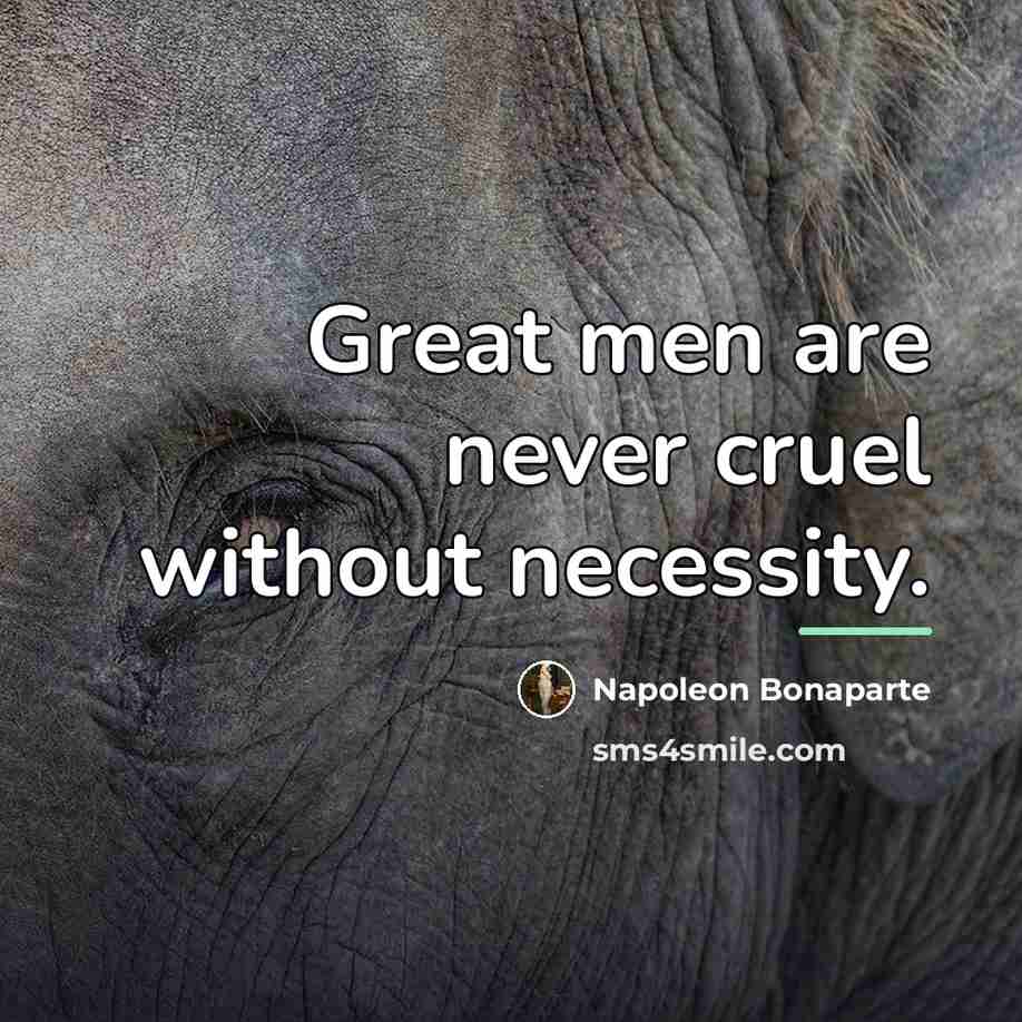 “Great men are never cruel without necessity.…” quote by Napoleon Bonaparte