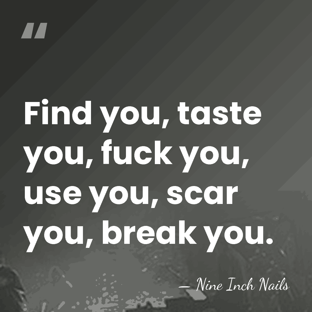 Find you, taste you, fuck you, use you, scar you, break you. - Nine Inch Nails