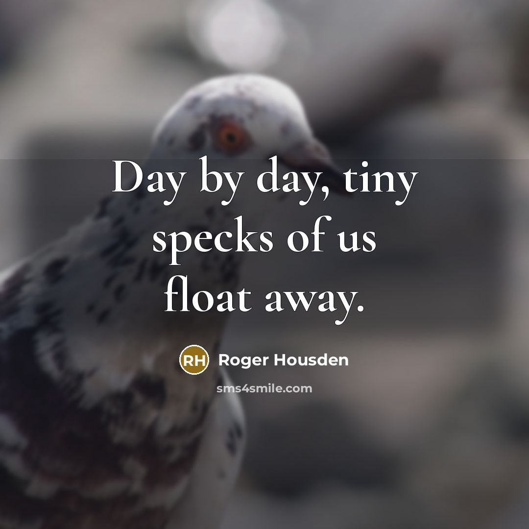 “Day by day, tiny specks of us float away.…” quote by Roger Housden