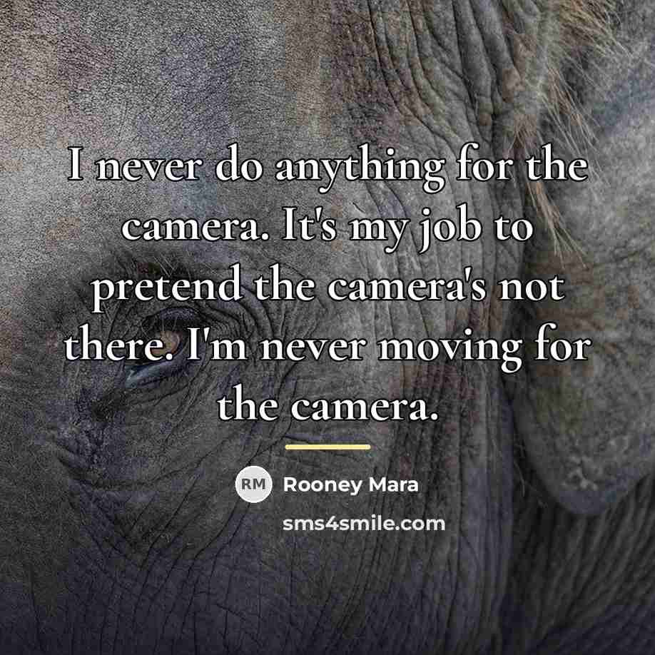 “I never do anything for the camera. It's my job…” quote by Rooney Mara