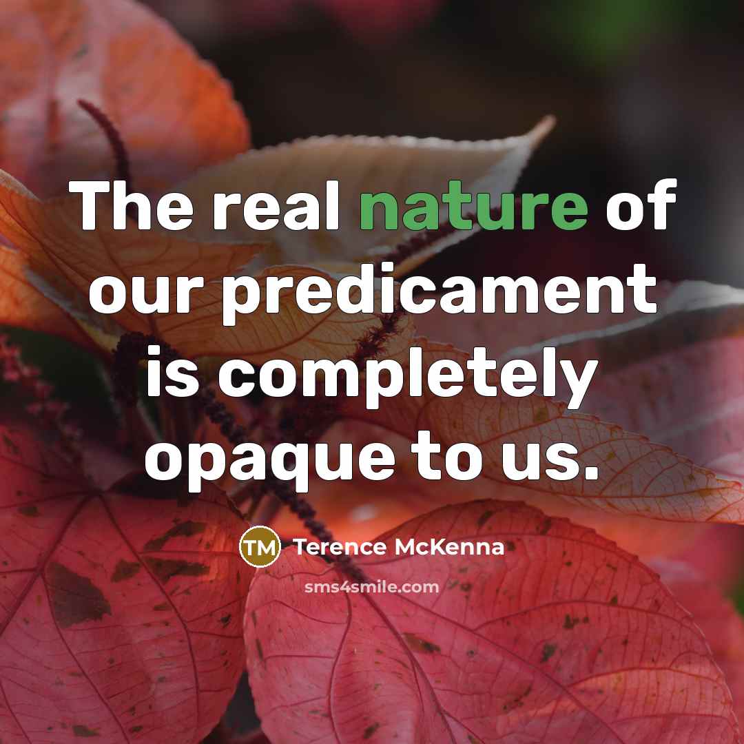 “The real nature of our predicament is completely opaque to…” quote by Terence McKenna