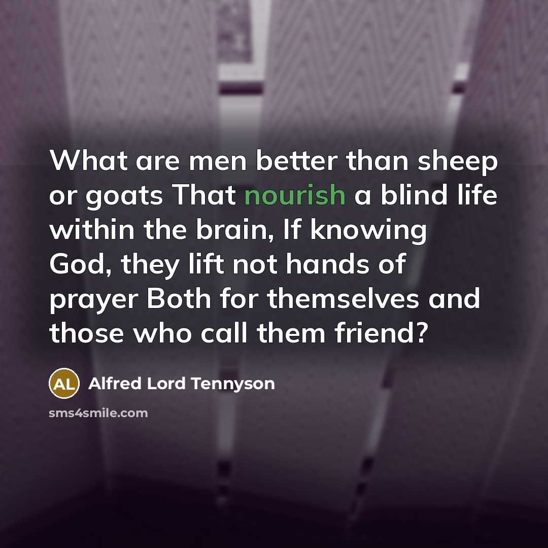 “What are men better than sheep or goats That nourish…” quote by Alfred Lord Tennyson