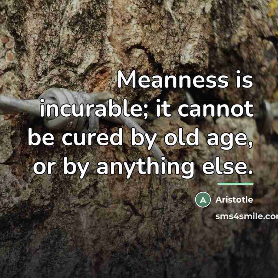 “Meanness is incurable; it cannot be cured by old age,…” quote by Aristotle