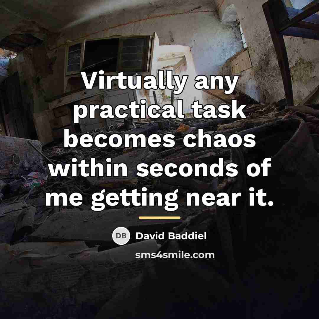 “Virtually any practical task becomes chaos within seconds of me…” quote by David Baddiel