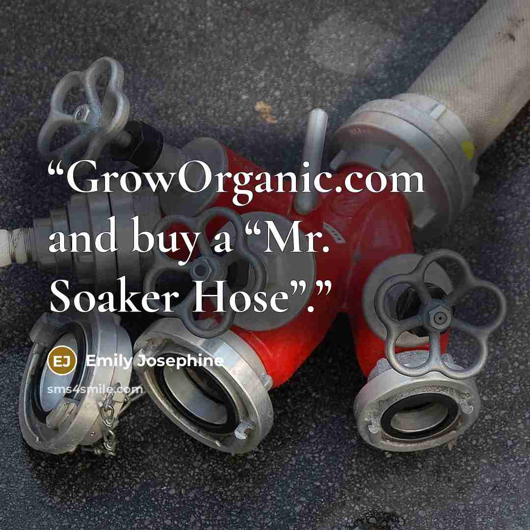 “GrowOrganic.com and buy a “Mr. Soaker Hose”.” quote by Emily Josephine