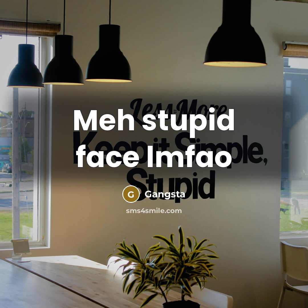 “Meh stupid face lmfao…” quote by Gangsta
