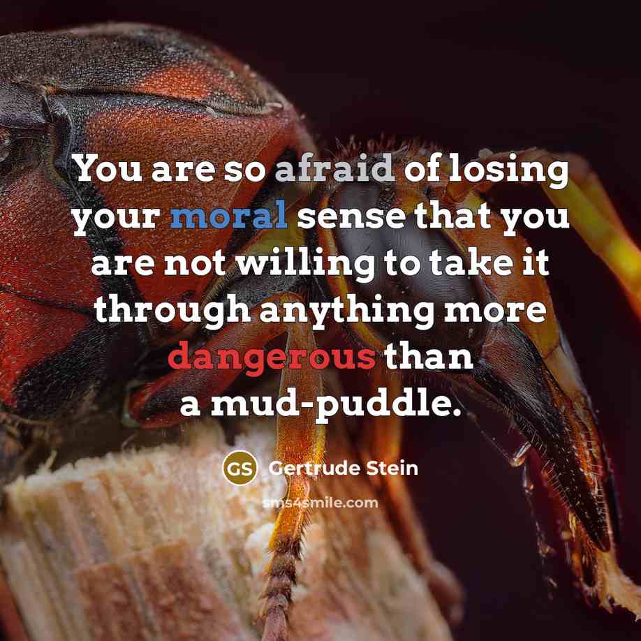 “You are so afraid of losing your moral sense that you are not willing to take it through anything more dangerous than a mud-puddle.” quote by Gertrude Stein