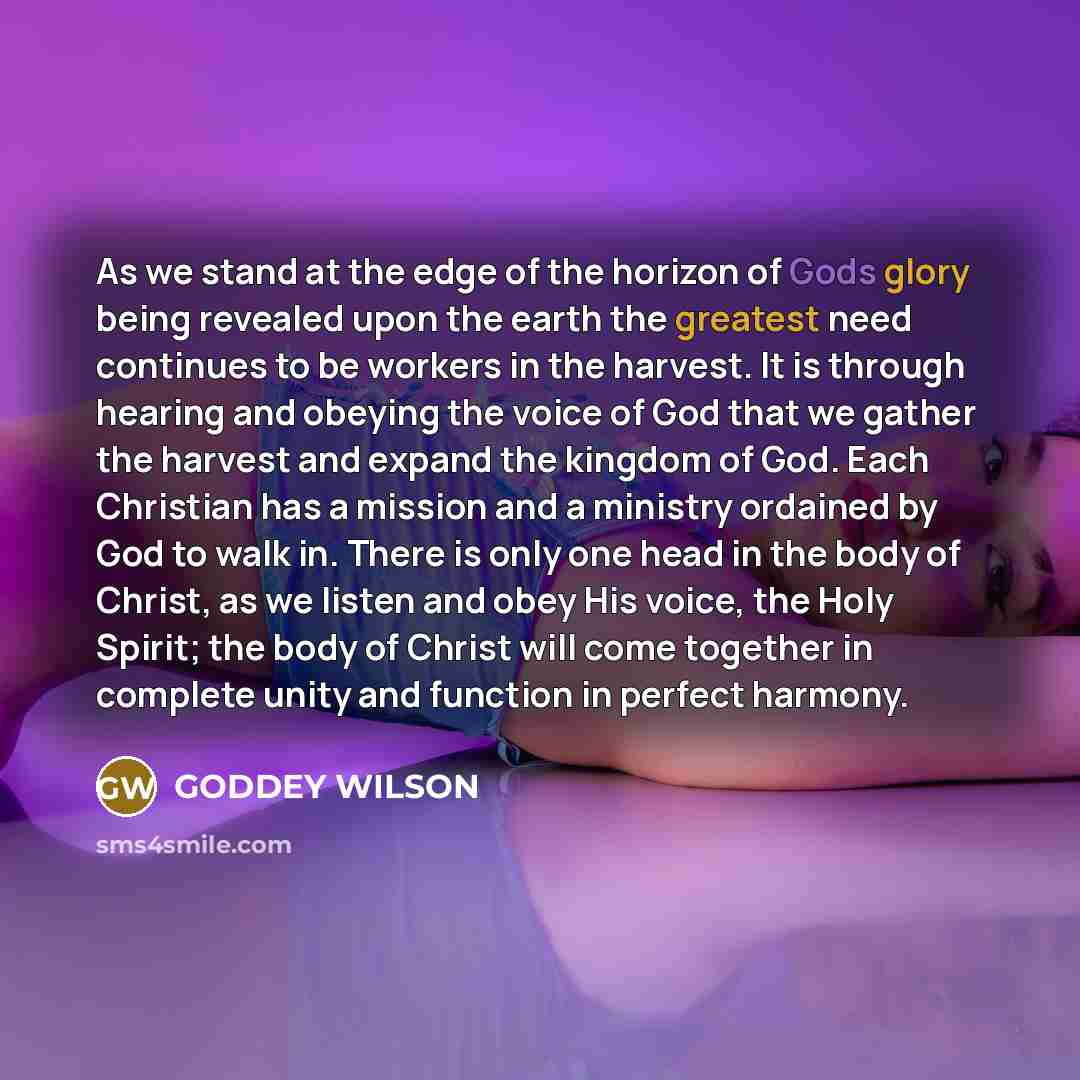 “As we stand at the edge of the horizon of…” quote by GODDEY WILSON