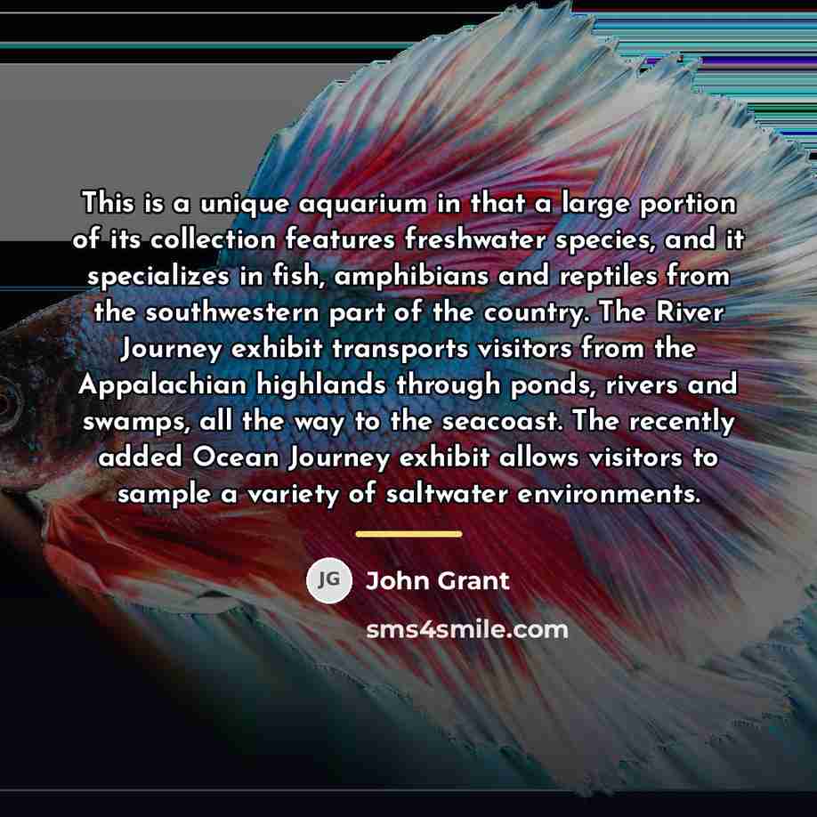 “This is a unique aquarium in that a large portion…” quote by John Grant