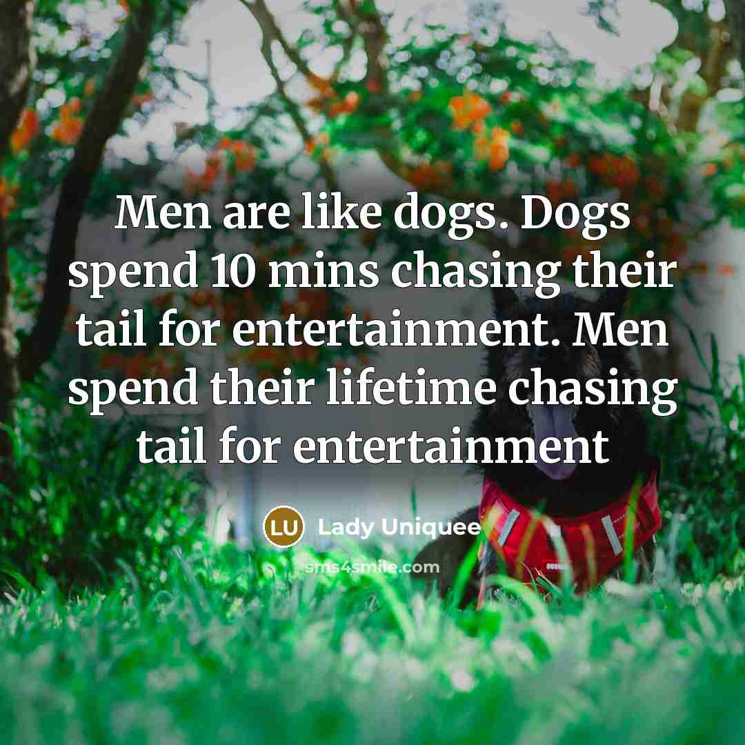 “Men are like dogs. Dogs spend 10 mins chasing their…” quote by Lady Uniquee