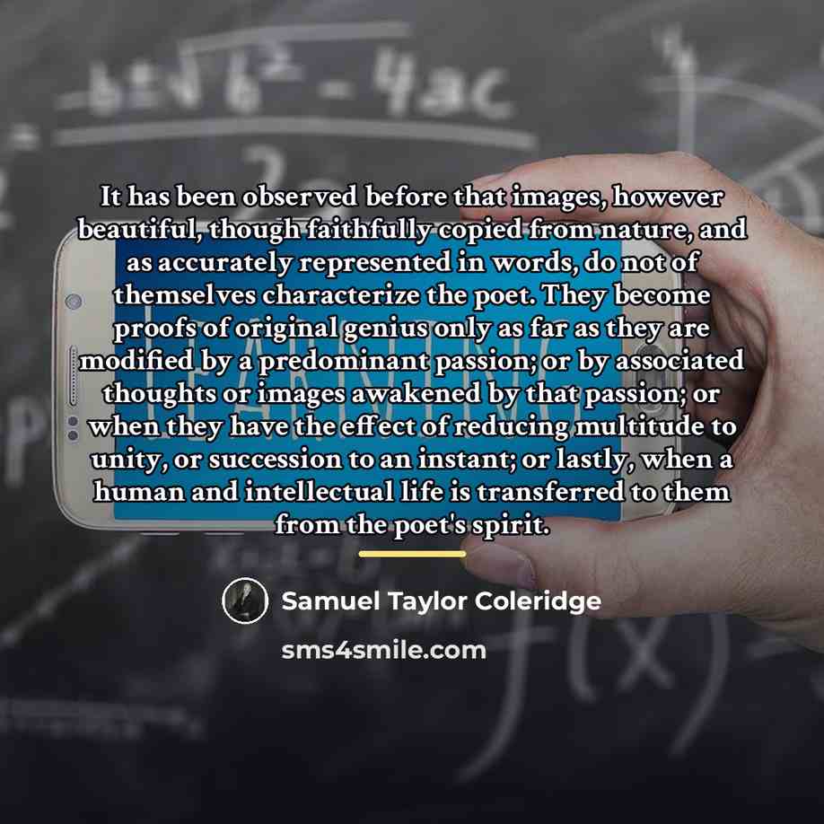 “It has been observed before that images, however beautiful, though…” quote by Samuel Taylor Coleridge