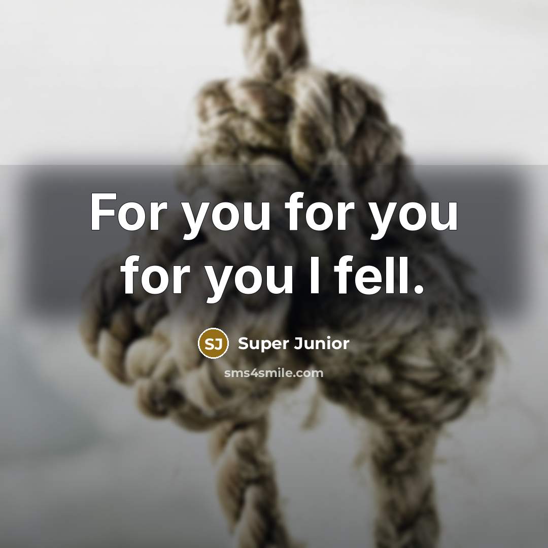 “For you for you for you I fell.” quote by Super Junior