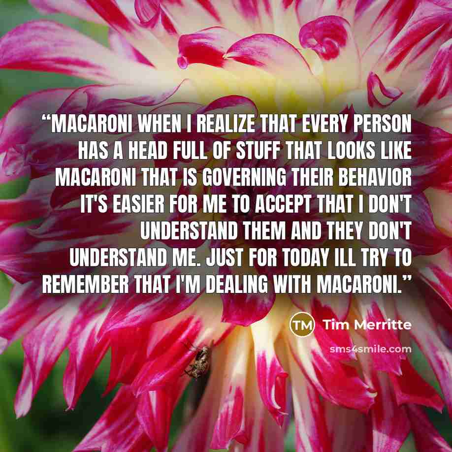 “Macaroni When i realize that every person has a head full of stuff that looks like macaroni that is governing their behavior it's easier for me to accept that i don't understand them and they don't understand me. Just for today ill try to remember that I'm dealing with macaroni.” quote by Tim Merritte