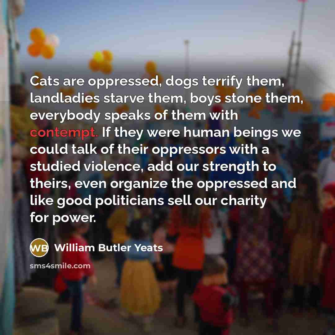 “Cats are oppressed, dogs terrify them, landladies starve them, boys…” quote by William Butler Yeats