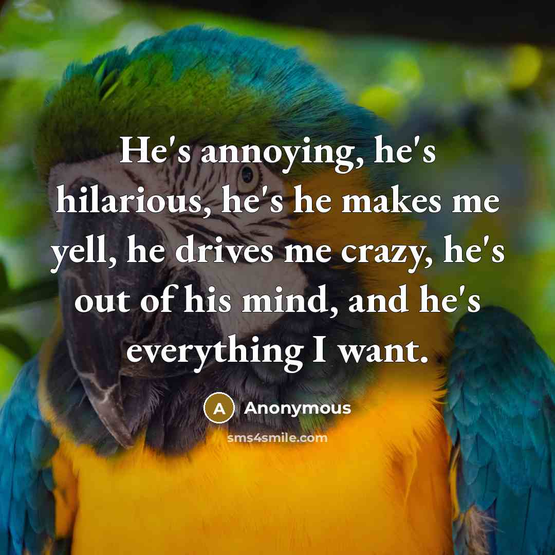 “He's annoying, he's hilarious, he's he makes me yell, he…” quote by Anonymous