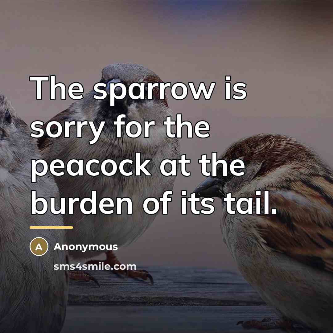 “The sparrow is sorry for the peacock at the burden…” quote by Anonymous