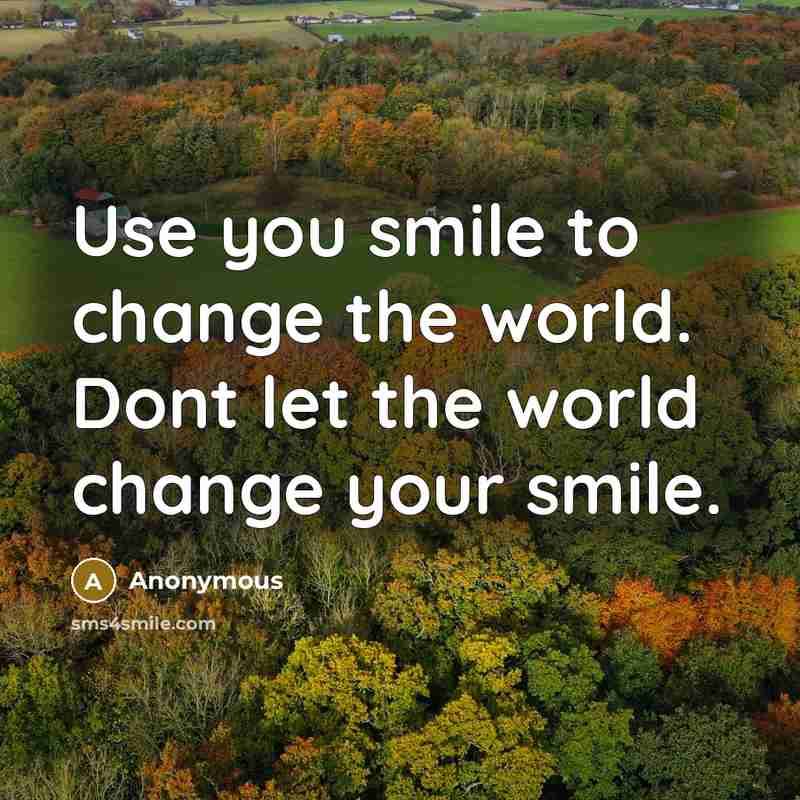 “Use you smile to change the world. Dont let the…” quote by Anonymous