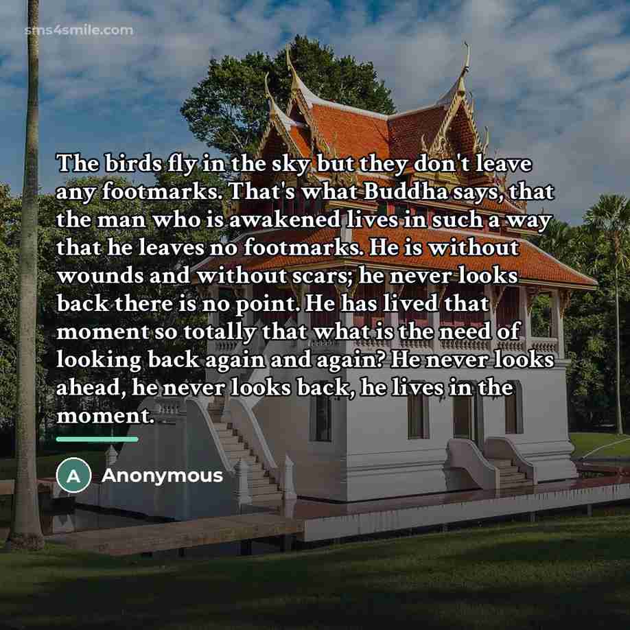 “The birds fly in the sky but they don't leave…” quote by Anonymous