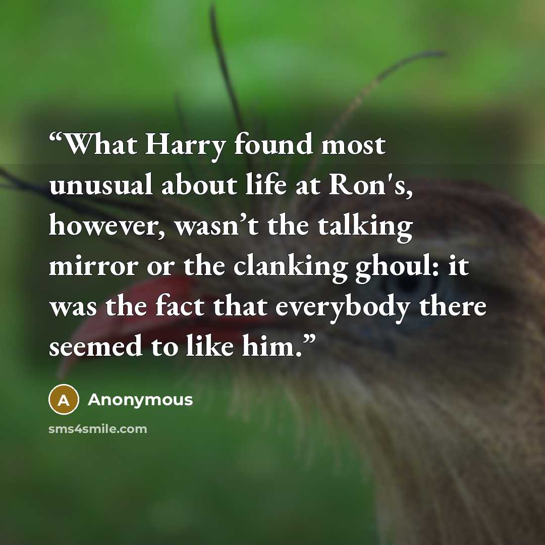 “What Harry found most unusual about life at Ron's, however, wasn’t the talking mirror or the clanking ghoul: it was the fact that everybody there seemed to like him.” quote by Anonymous