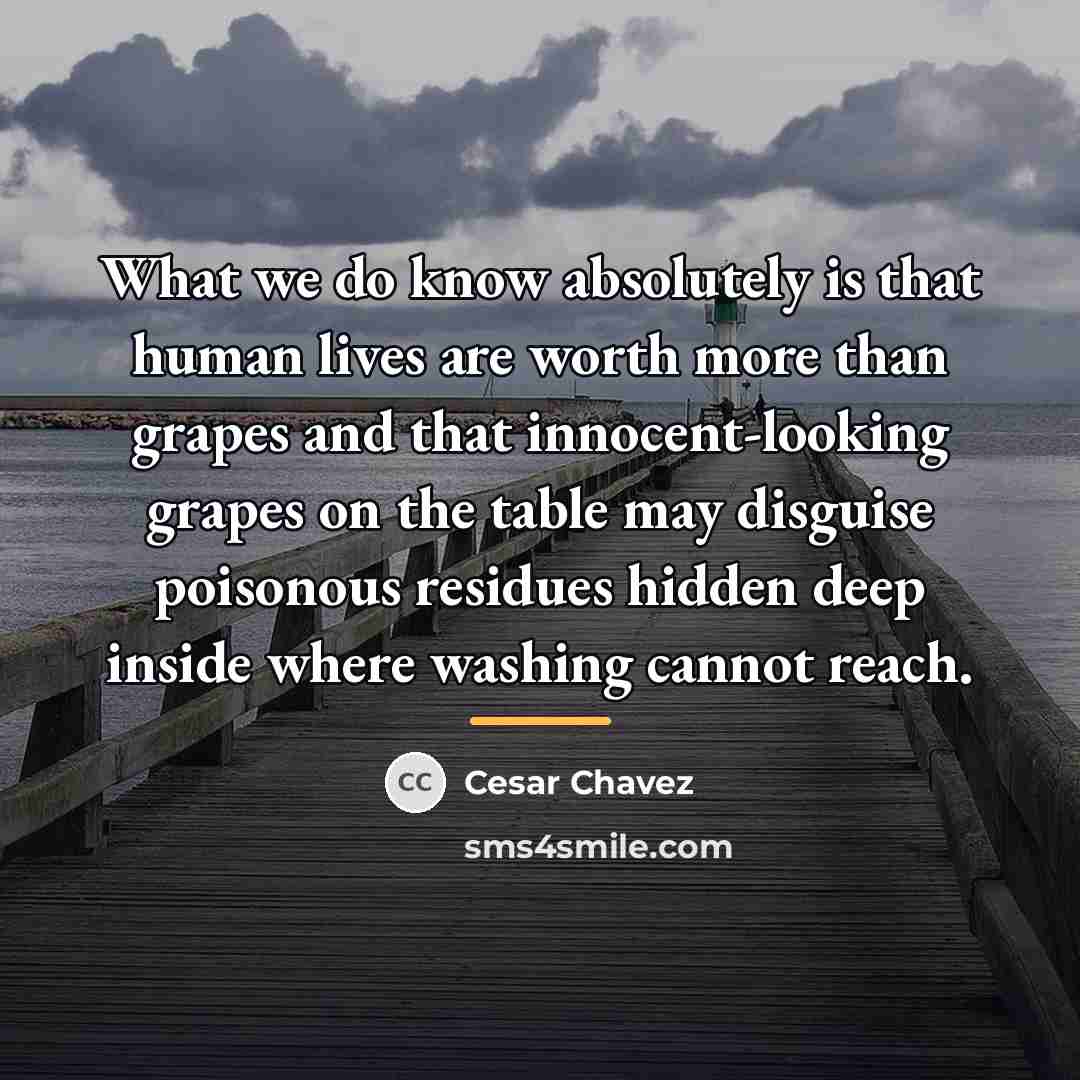 “What we do know absolutely is that human lives are…” quote by Cesar Chavez