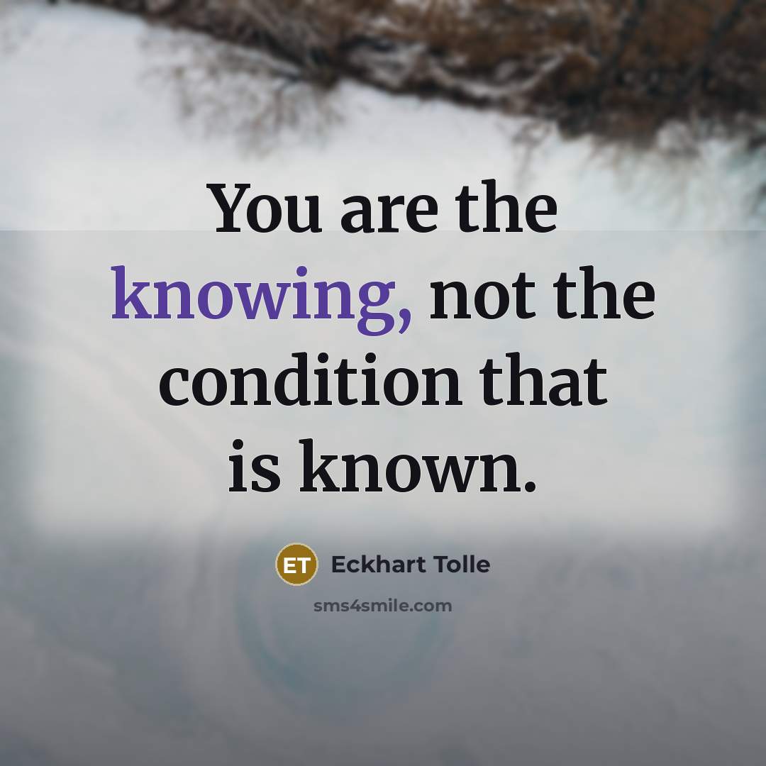 “You are the knowing, not the condition that is known.…” quote by Eckhart Tolle