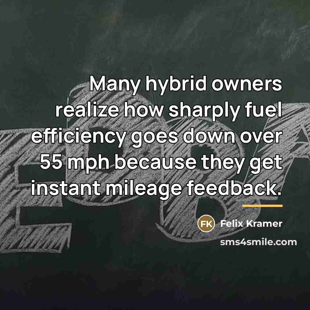“Many hybrid owners realize how sharply fuel efficiency goes down…” quote by Felix Kramer